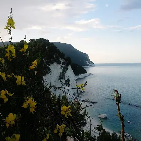 Ghirardelli 시롤로